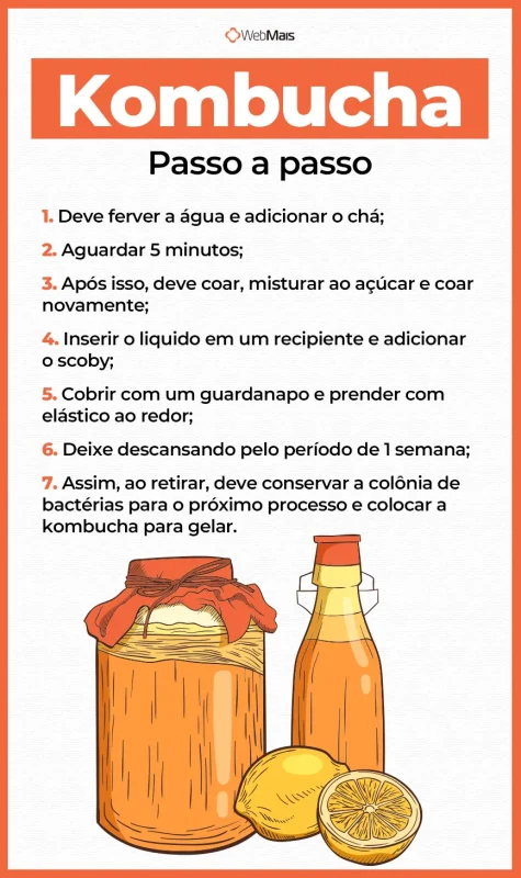 Kombucha passo a passo Kombucha passo a passo
